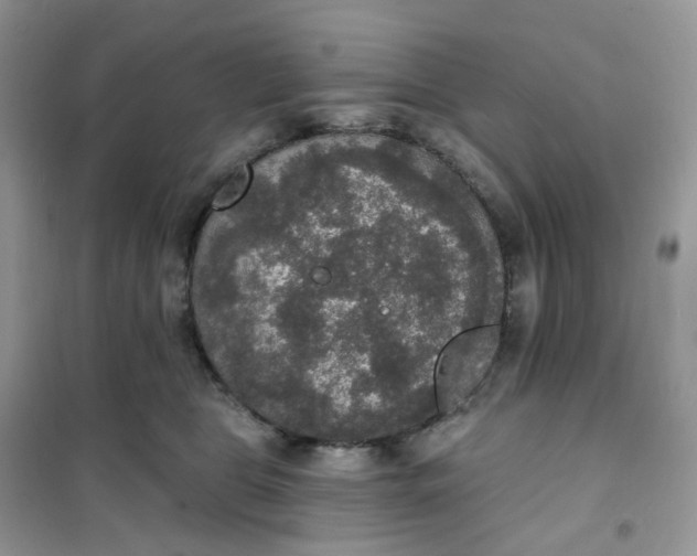 X0000102040469200808011514