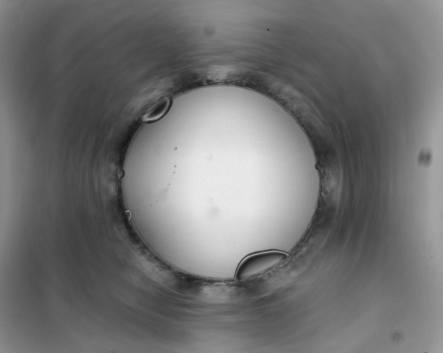 X0000102040470200808011514