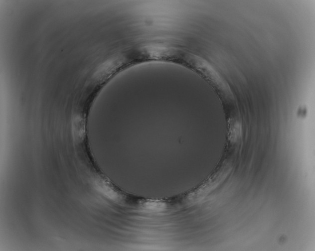 X0000102040471200808011514