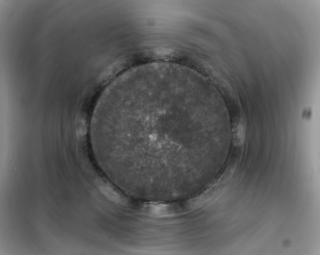 X0000102040472200808011514