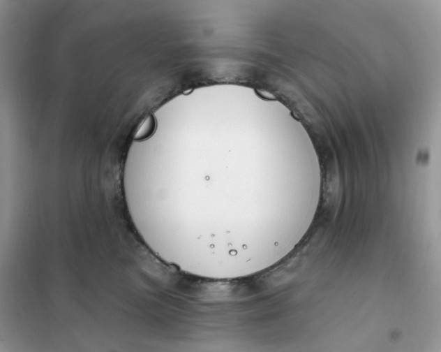 X0000102040473200808011514