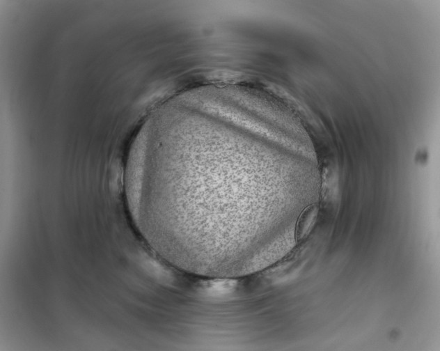 X0000102040474200808011514