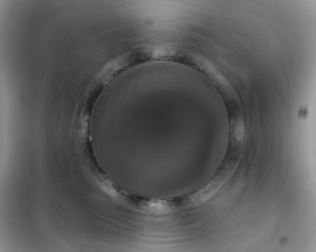 X0000102040475200808011514