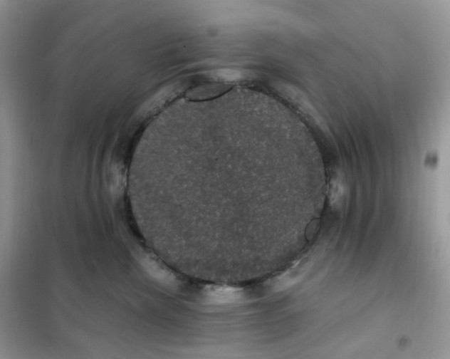 X0000102040476200808011514