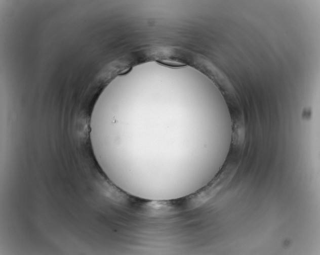 X0000102040477200808011514