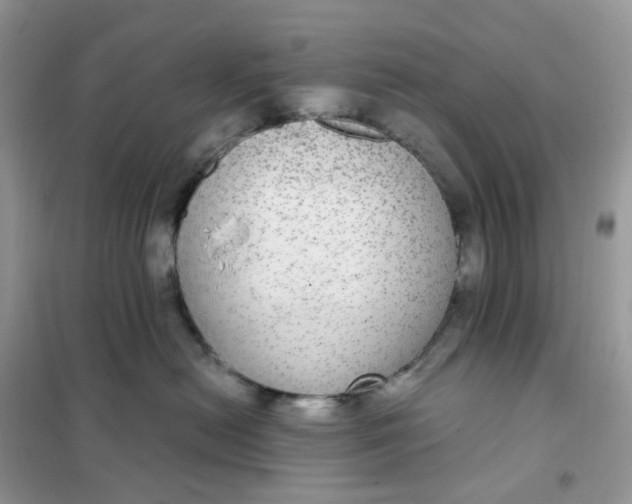 X0000102040478200808011514