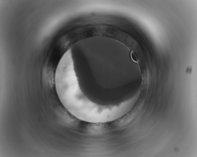 X0000102040479200808011514