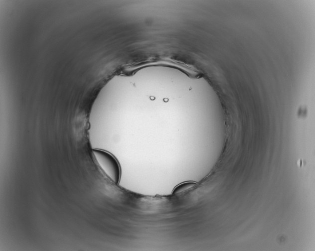 X0000102040480200808011514