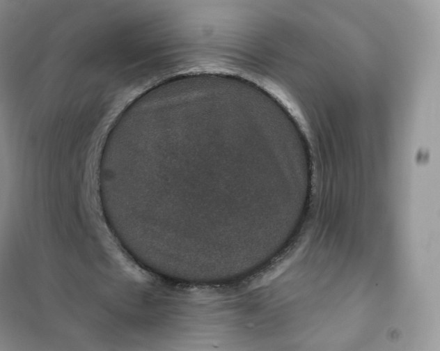 X0000102040481200808011514