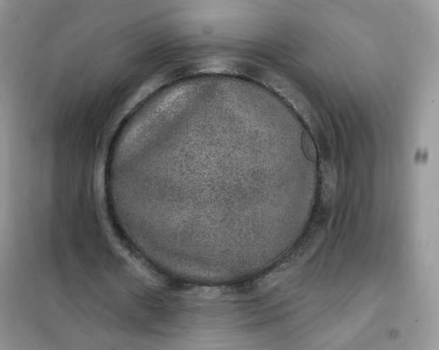 X0000102040482200808011514