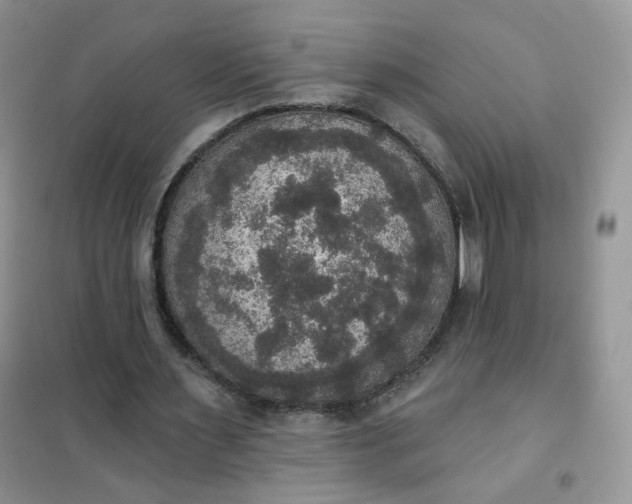 X0000102040483200808011514