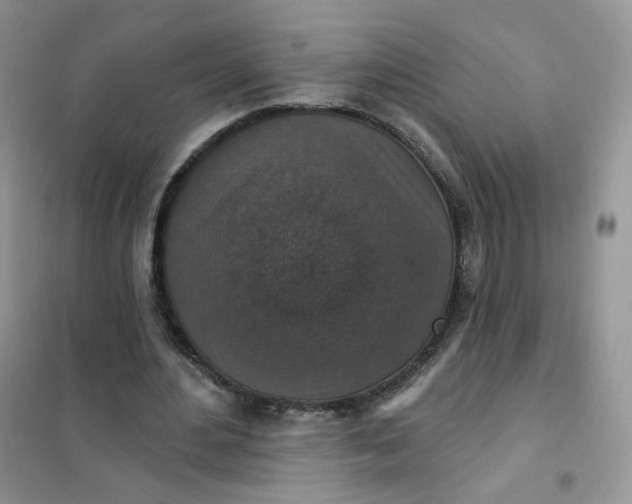 X0000102040484200808011514