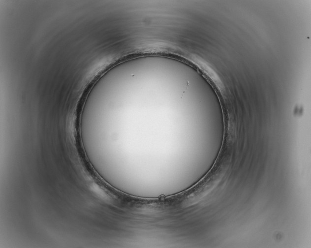 X0000102040485200808011514