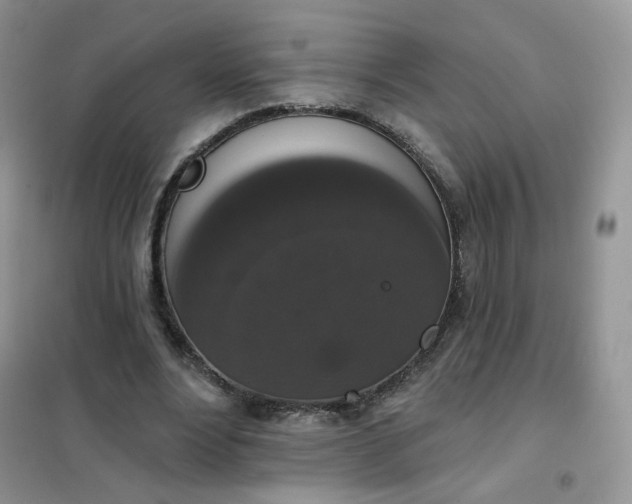 X0000102040488200808011514