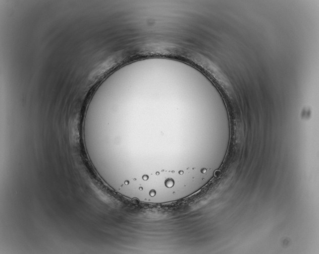 X0000102040489200808011514