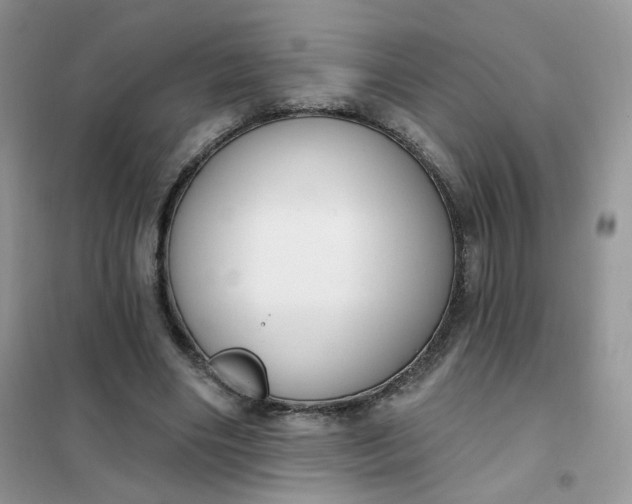 X0000102040490200808011514