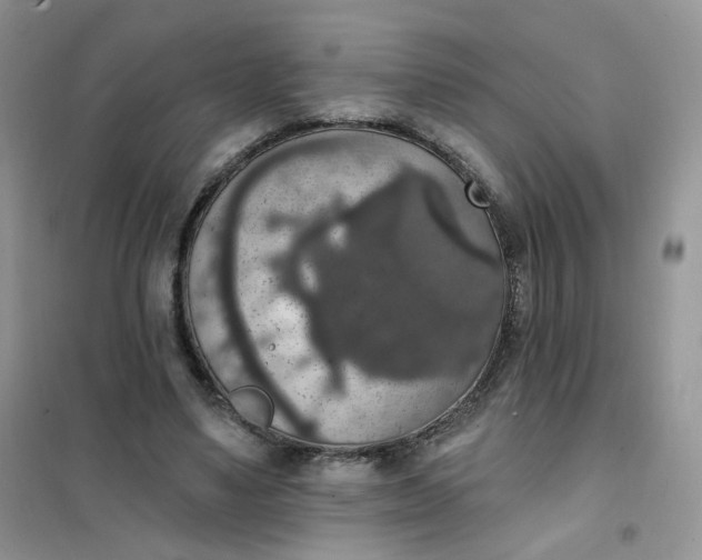 X0000102040491200808011514