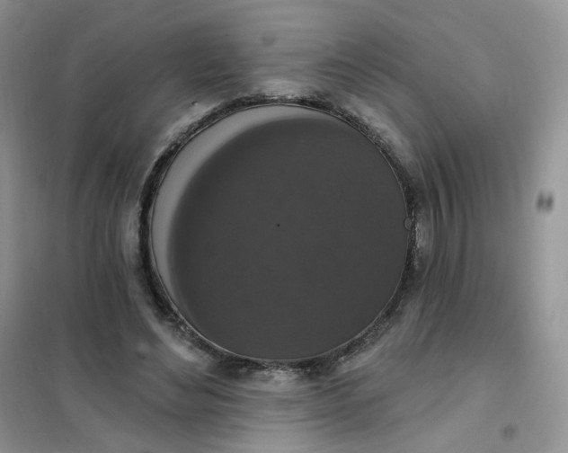 X0000102040492200808011513