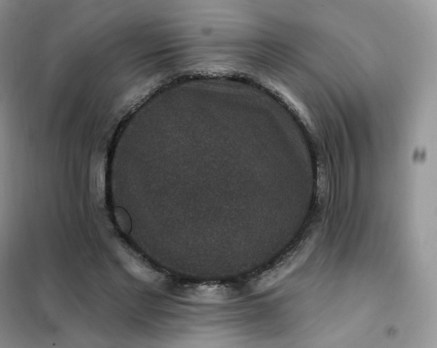 X0000102040493200808011513