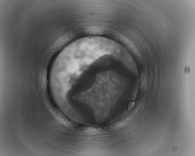 X0000102040494200808011513