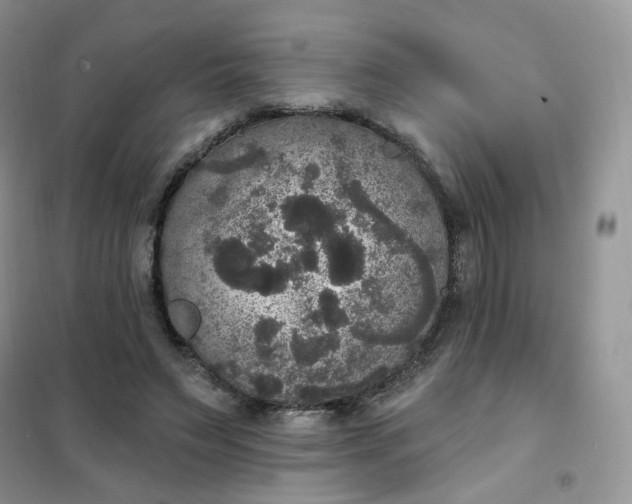 X0000102040495200808011513