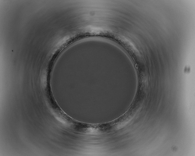 X0000102040496200808011513