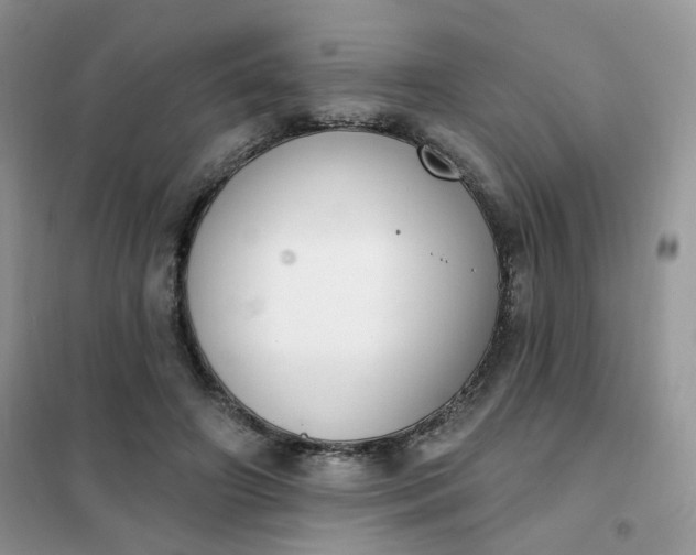 X0000102040498200808011513