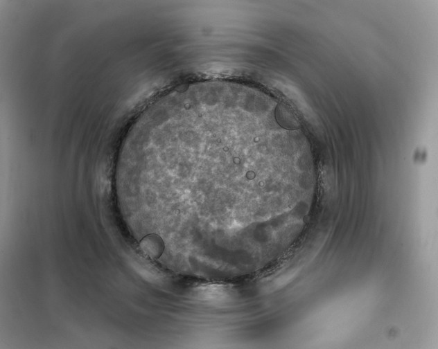 X0000102040499200808011513