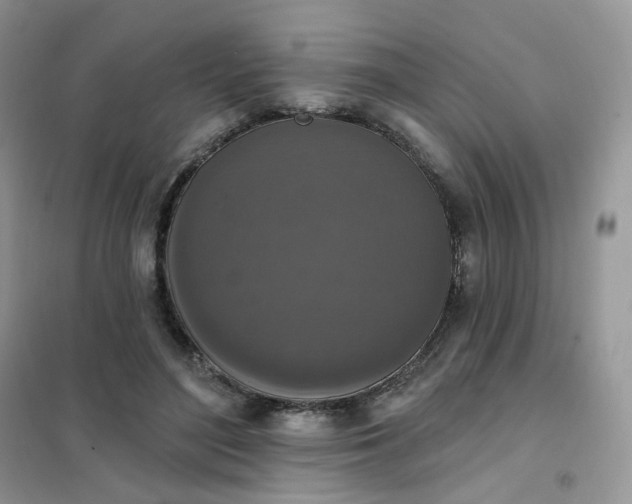 X0000102040500200808011513