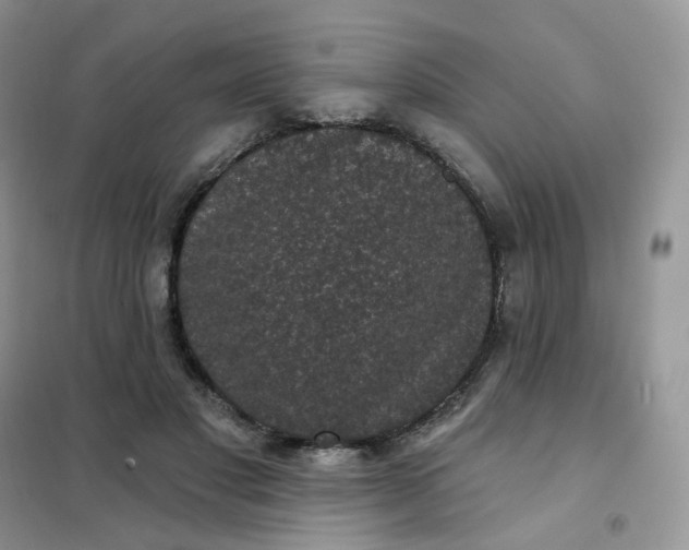 X0000102040501200808011513