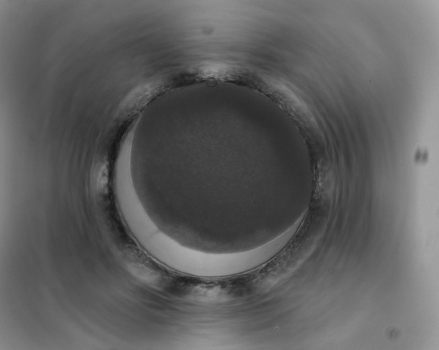 X0000102040502200808011513