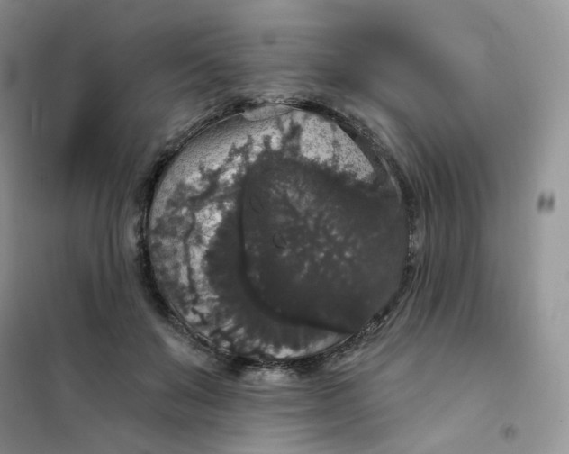 X0000102040503200808011513