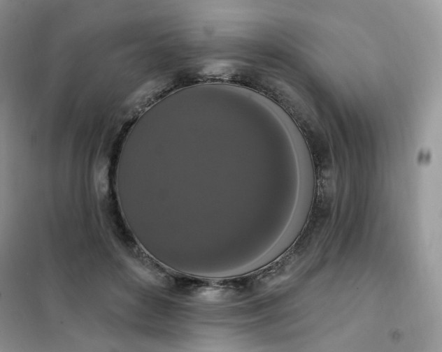 X0000102040504200808011513