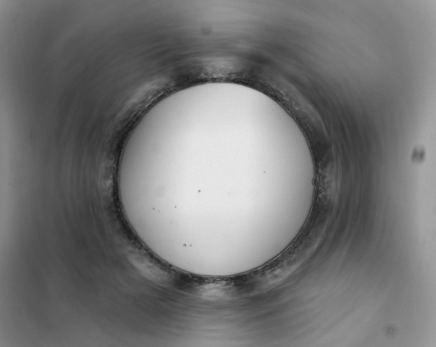 X0000102040505200808011513