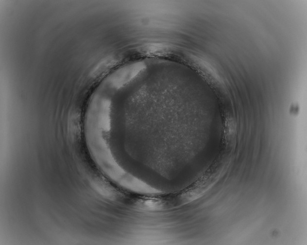 X0000102040506200808011513