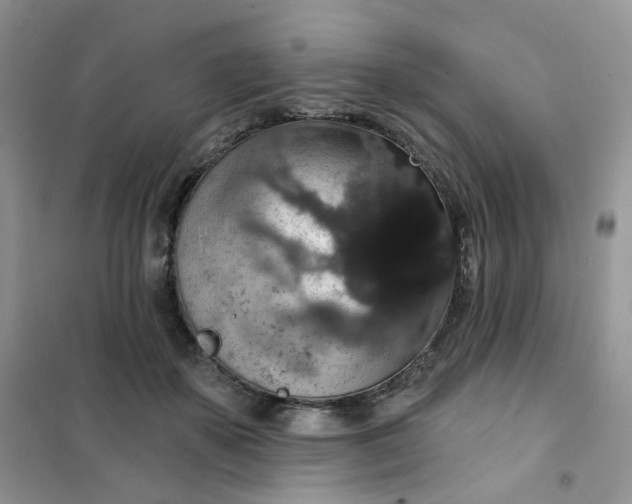 X0000102040507200808011513