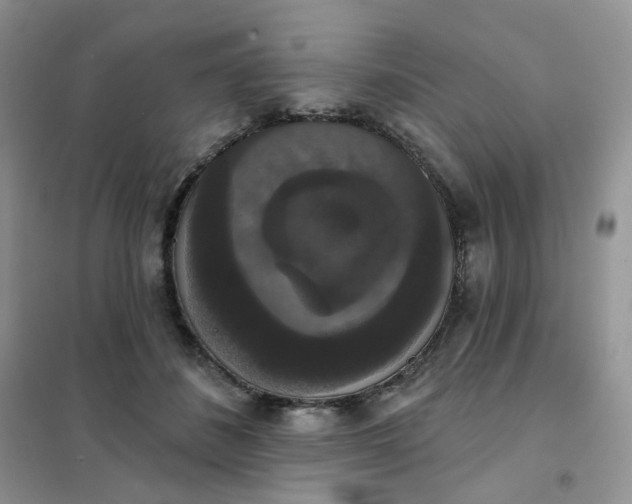 X0000102040508200808011513