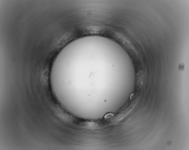 X0000102040509200808011513