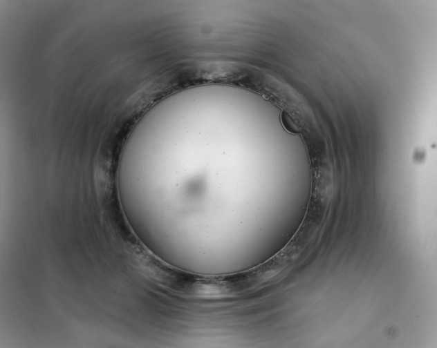 X0000102040510200808011513