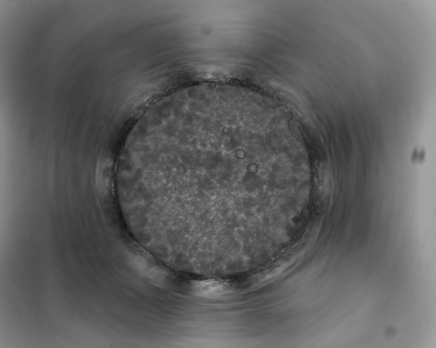 X0000102040511200808011513