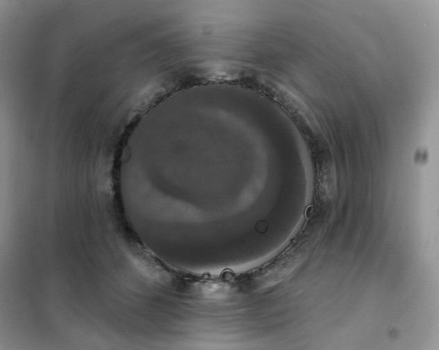 X0000102040512200808011513