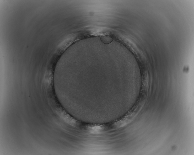 X0000102040513200808011513