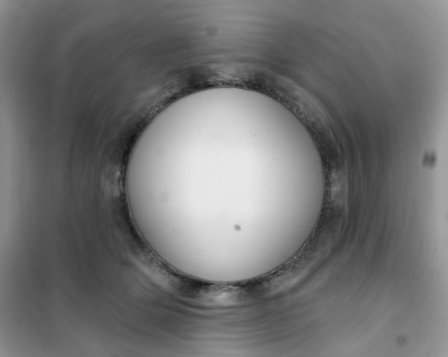 X0000102040514200808011513