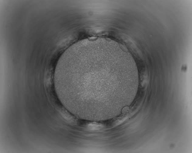 X0000102040515200808011513