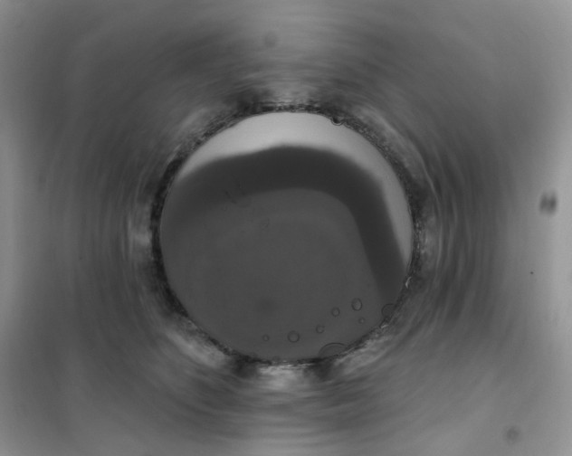 X0000102040516200808011513