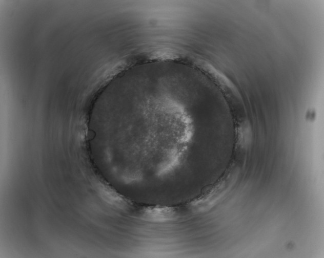 X0000102040517200808011513