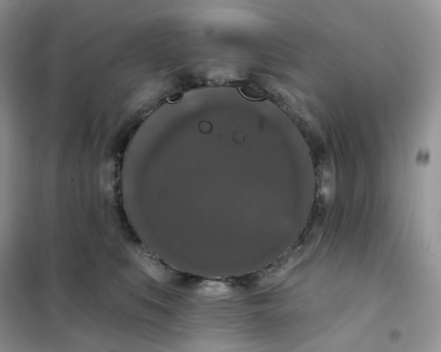 X0000102040519200808011513