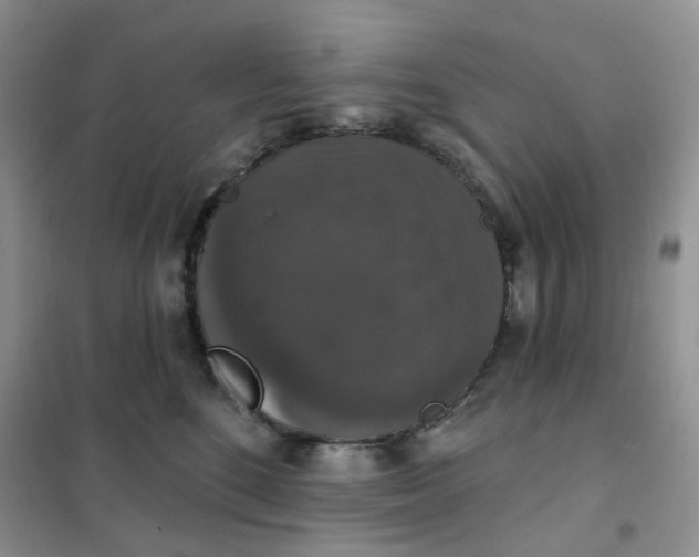 X0000102040520200808011513