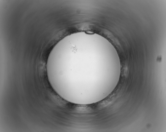 X0000102040521200808011513