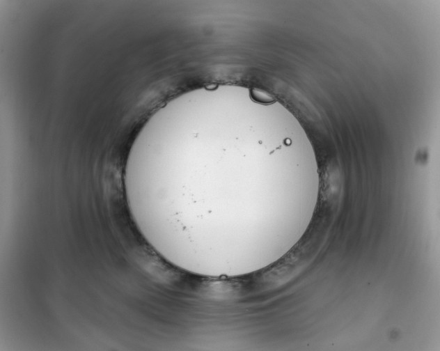 X0000102040522200808011513